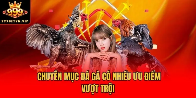 Chuyên mục đá gà có nhiều ưu điểm vượt trội