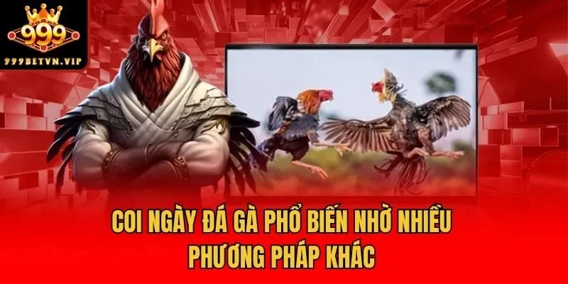 Coi ngày đá gà phổ biến nhờ nhiều phương pháp khác