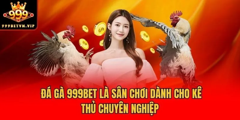 Đá gà 999bet là sân chơi dành cho kê thủ chuyên nghiệp