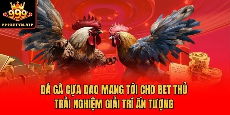 Đá gà cựa dao mang tới cho bet thủ trải nghiệm giải trí ấn tượng