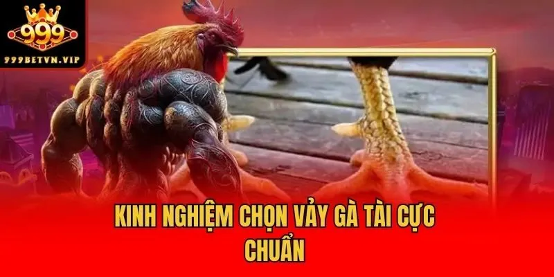 Kinh nghiệm chọn vảy gà tài cực chuẩn